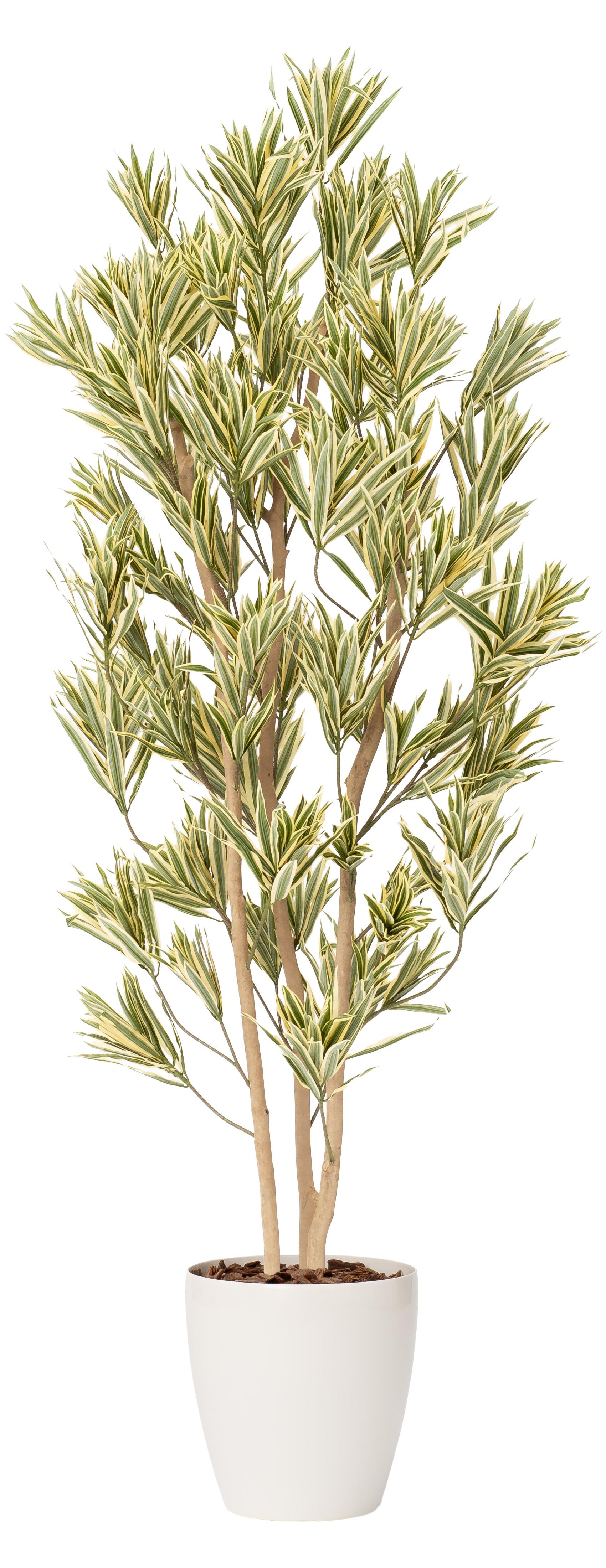 ソングオブインディア３本立